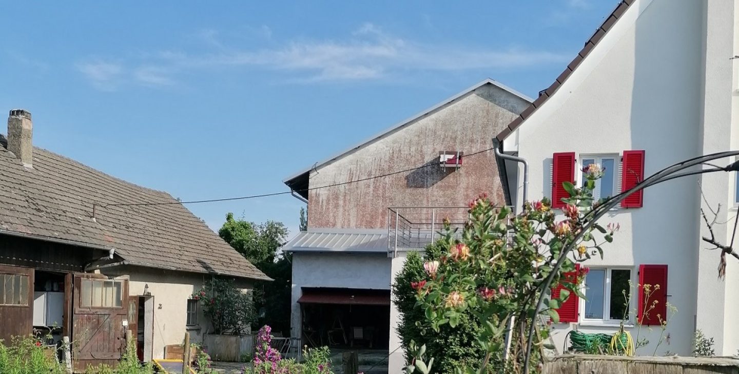 Blick auf einen Hof mit Stallgebäude links, Scheune in der Mitte hingen und Hälfte des Wohnhauses mit roten Fensterläden rechts. Im Vordergrund Blumen im Garten